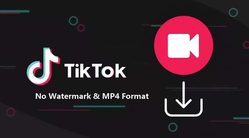 TikTok Video Downloader